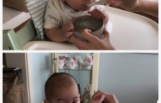 小十一6个月了